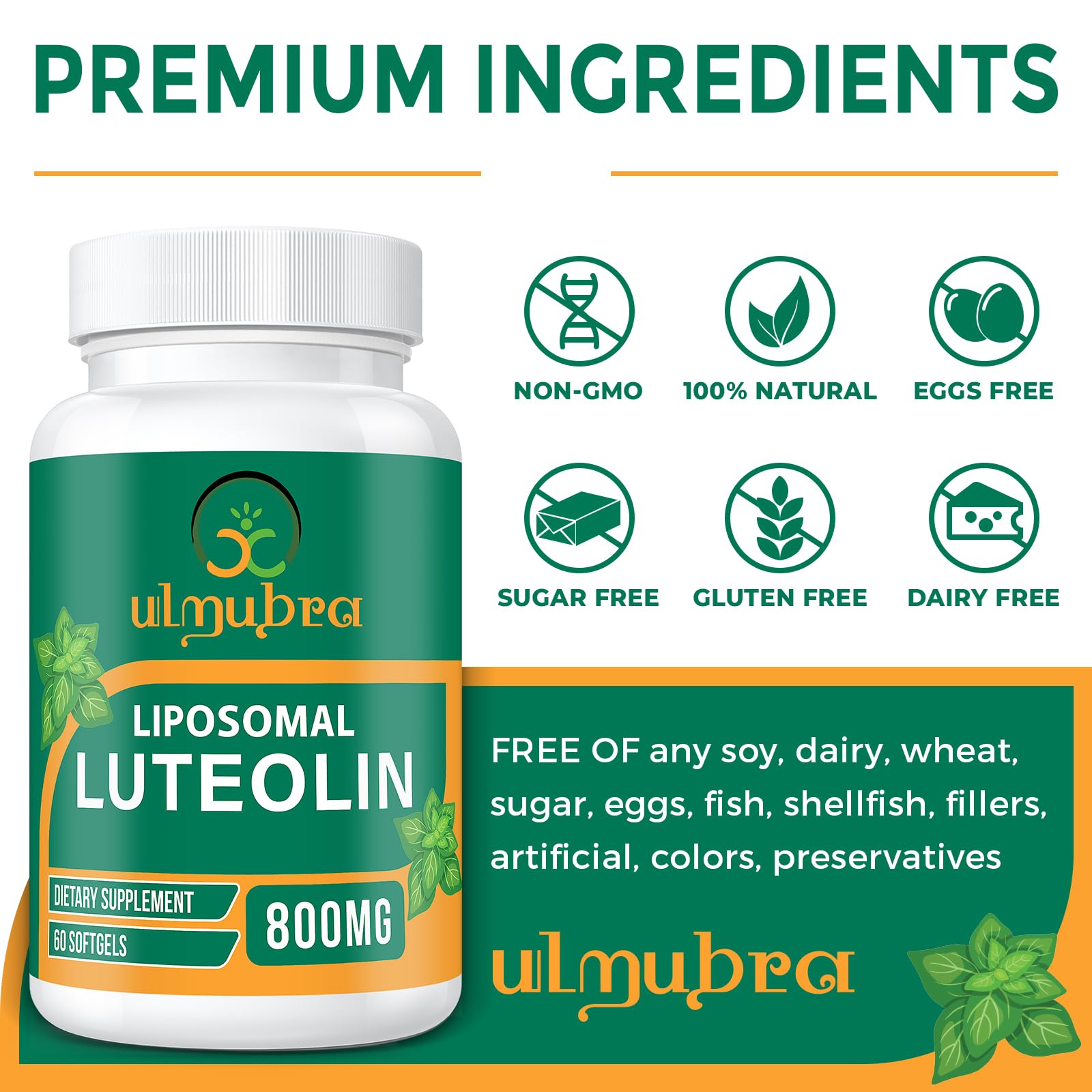 Ulmubra 800 mg luteolin : capsule facile à avaler au quotidien
