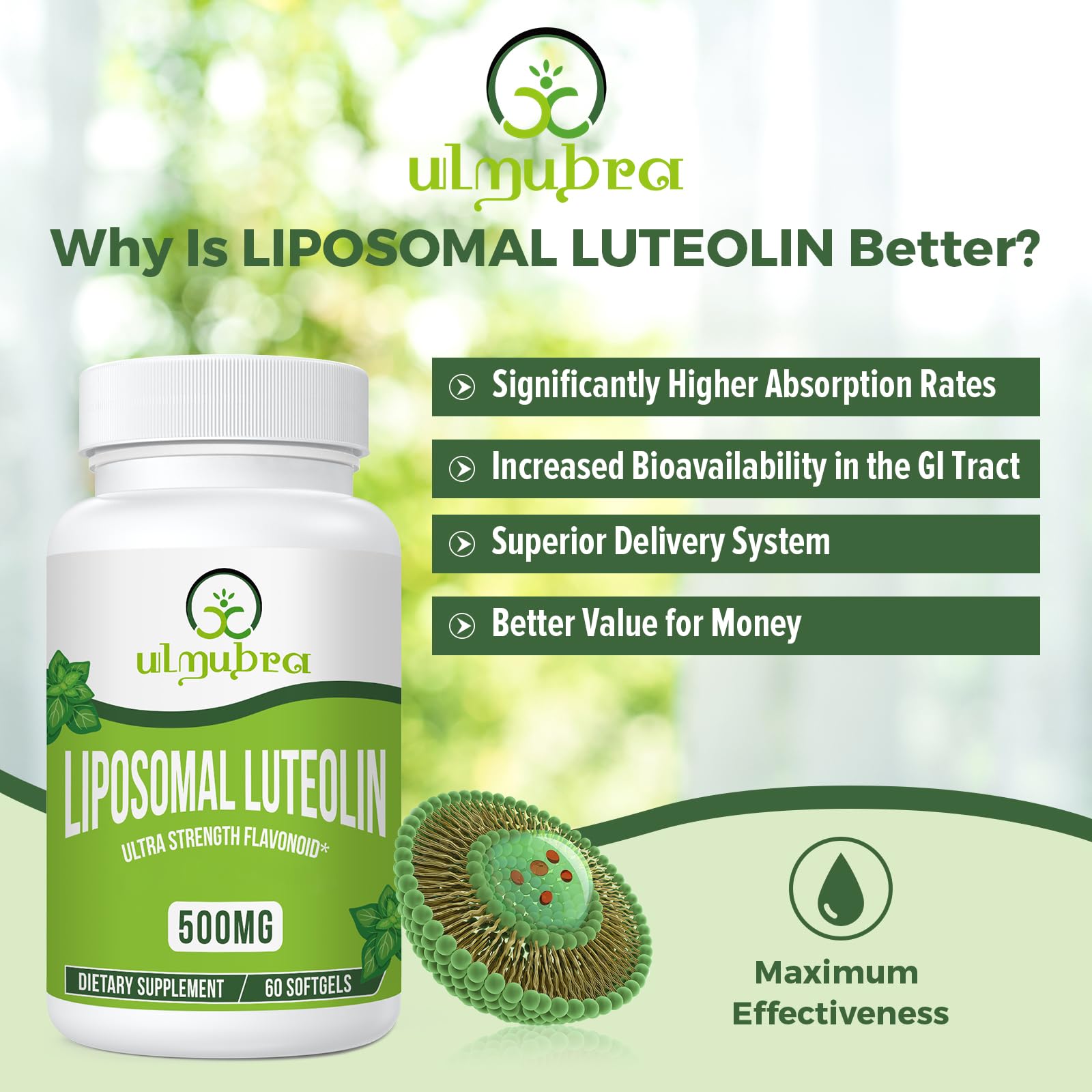 Ulmubra Liposomal Luteolin 500 mg, gélules faciles à avaler pour le quotidien.