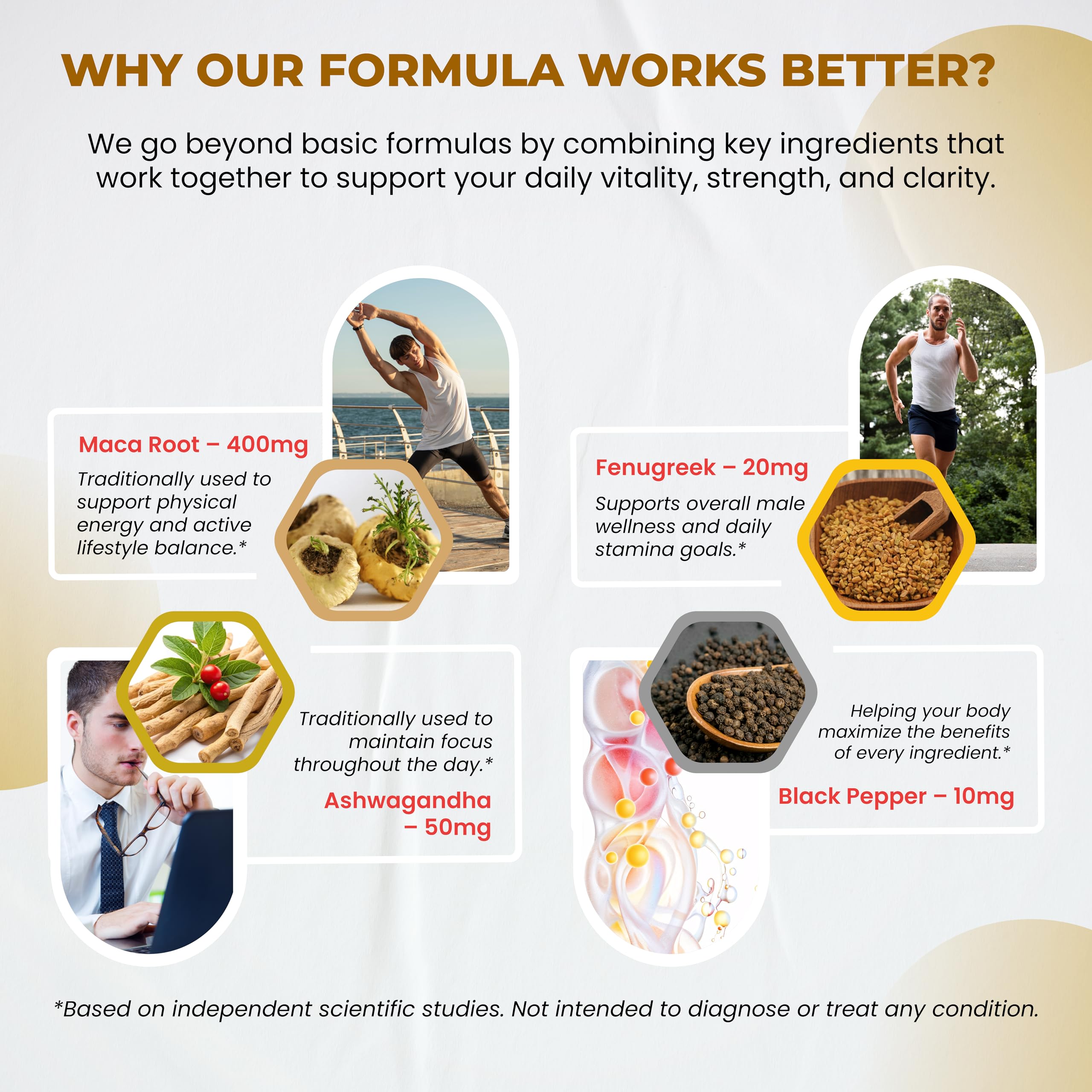 ULTRA HERBS Capsules – dosage précis et pratique pour le quotidien