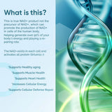 UltraViat NAD+ 1000mg – mode d'utilisation quotidienne avec eau