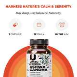 UMZU Ashwagandha – cadre bureau calme, ambiance propice à la routine.