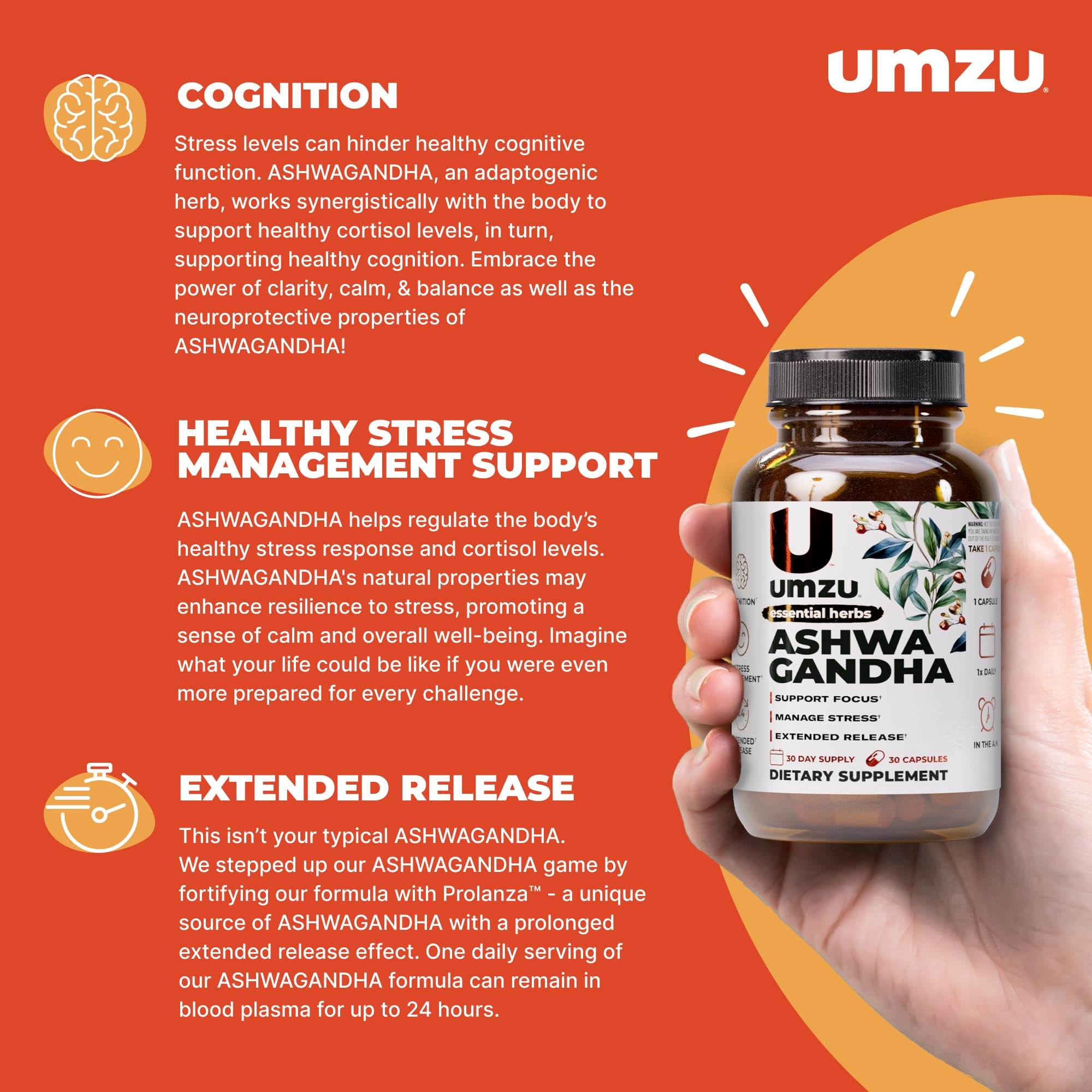 UMZU Ashwagandha – gélules en gros plan, soutien potentiel à la concentration.