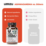 UMZU Ashwagandha – étiquette Prolanza, libération prolongée pour le soutien journalier.