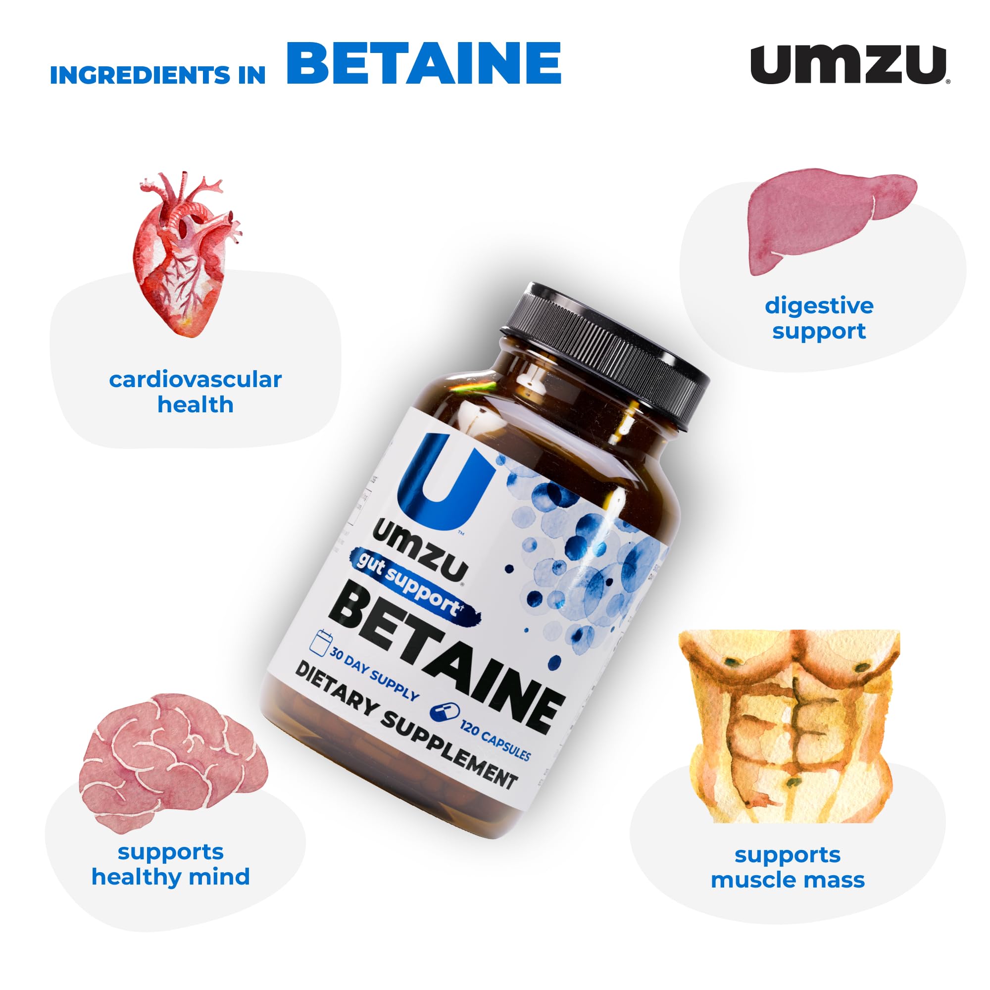 UMZU Betaine HCl améliore l'absorption des protéines, glucides et lipides.