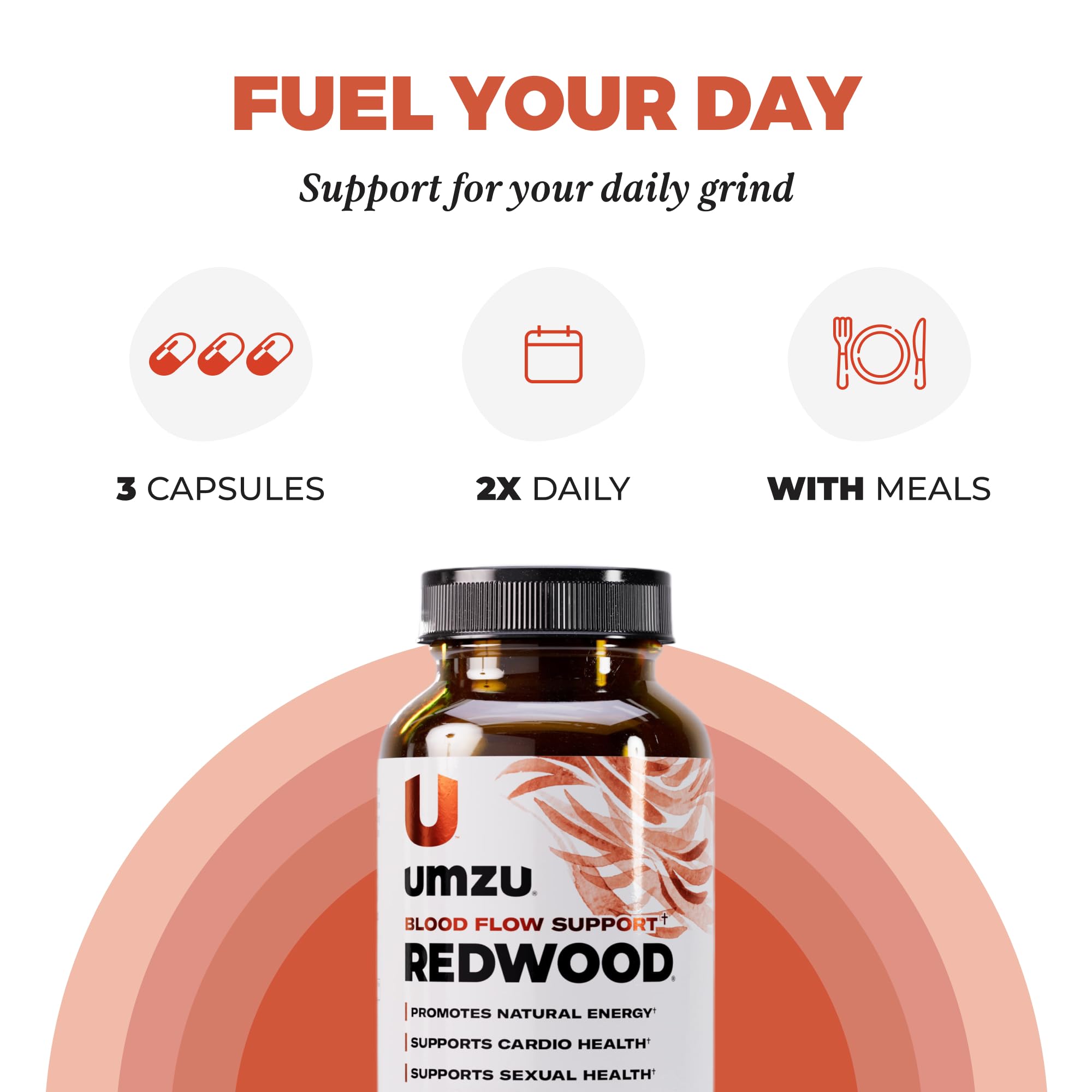 UMZU Redwood – représentation de l'énergie et de l'endurance quotidiennes.