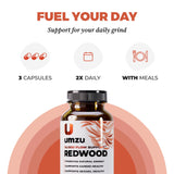 UMZU Redwood – représentation de l'énergie et de l'endurance quotidiennes.