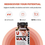 UMZU Redwood Max dose quotidienne avec eau, pour énergie stable