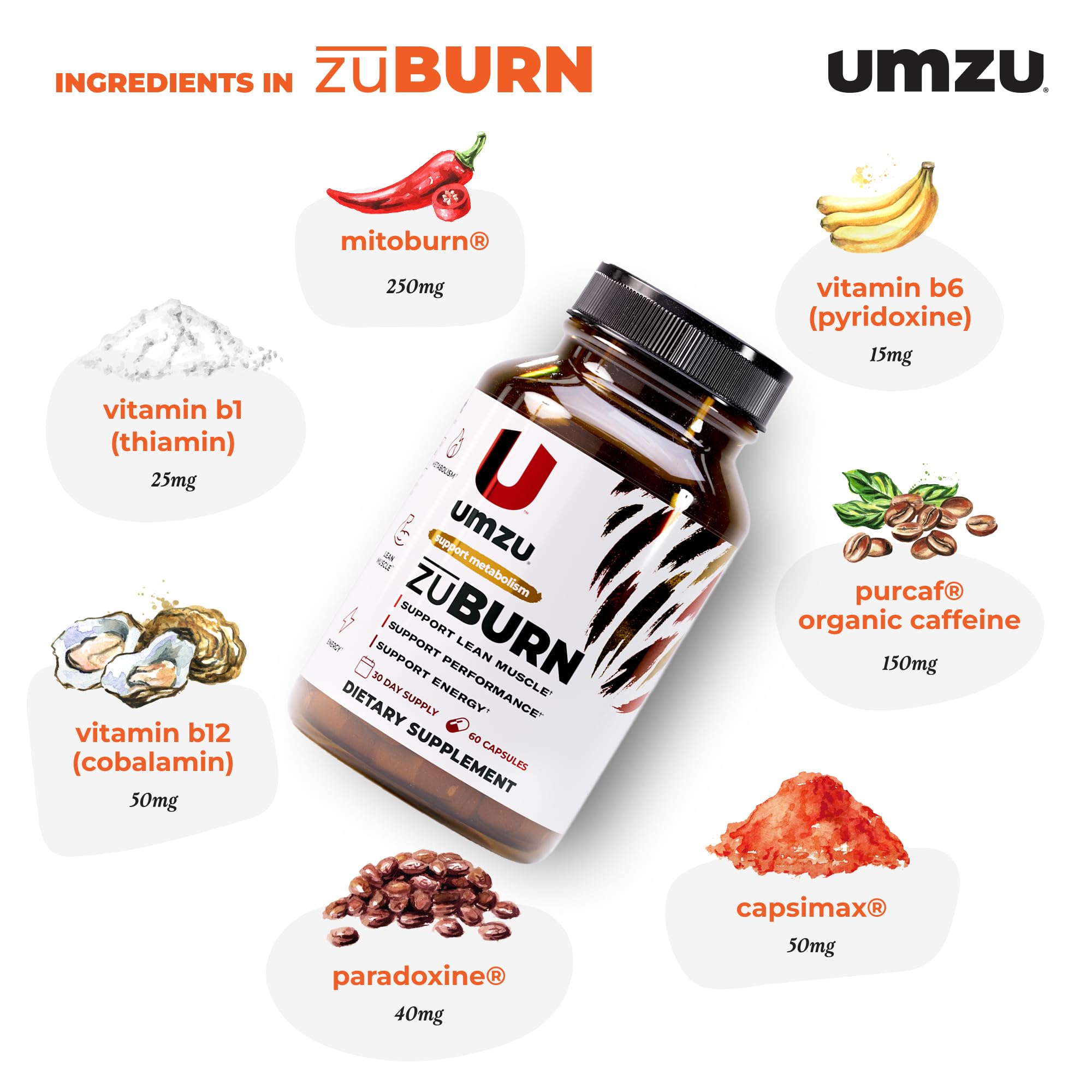 ZuBurn UMZU: ingrédients clés pour énergie et mouvement.