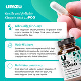 UMZU zuPOO Detox — dosage nocturne simple, 1 à 2 capsules selon vos besoins.