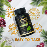 UNcena NAD – Absorption liposomale: meilleure disponibilité.