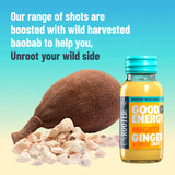Unrooted Good Energy Shot: poudre baobab, fibre et bien-être digestif