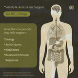 UPHORIC URTH Chaga: gouttes avec pipette pour dosage précis.