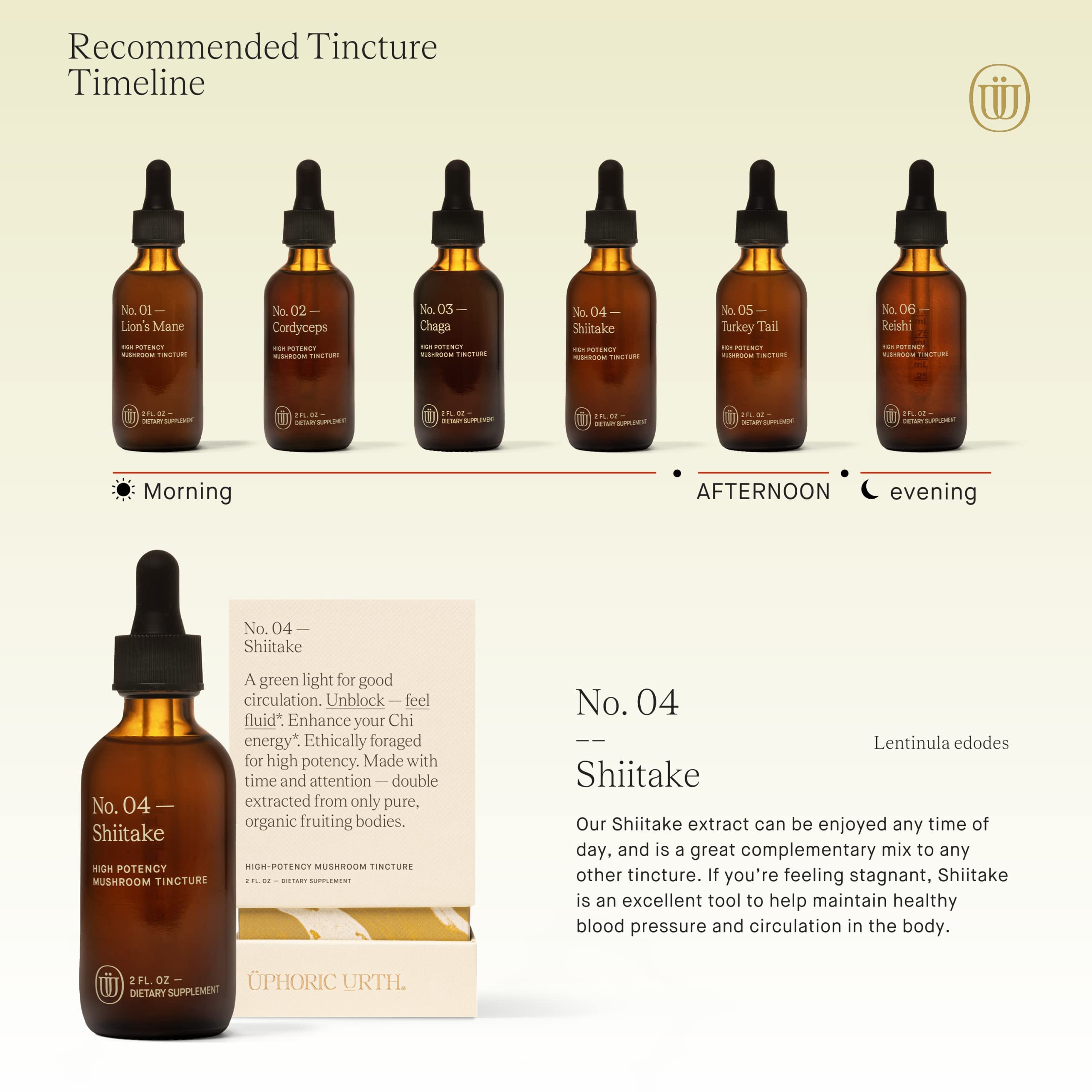 Concentration élevée de la tincture UPHORIC URTH Shiitake pour une utilisation efficace.