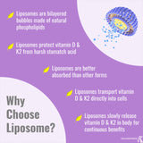 UpNourish huile de coco biologique, base naturelle pour la formulation liposomale.