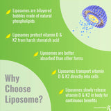 Étiquette zoom sur UpNourish liposomale D3 K2 MK-7 pour transparence des ingrédients