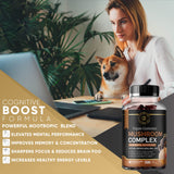Gommes UR Treasure Nutrition enrichies en reishi pour énergie durable.