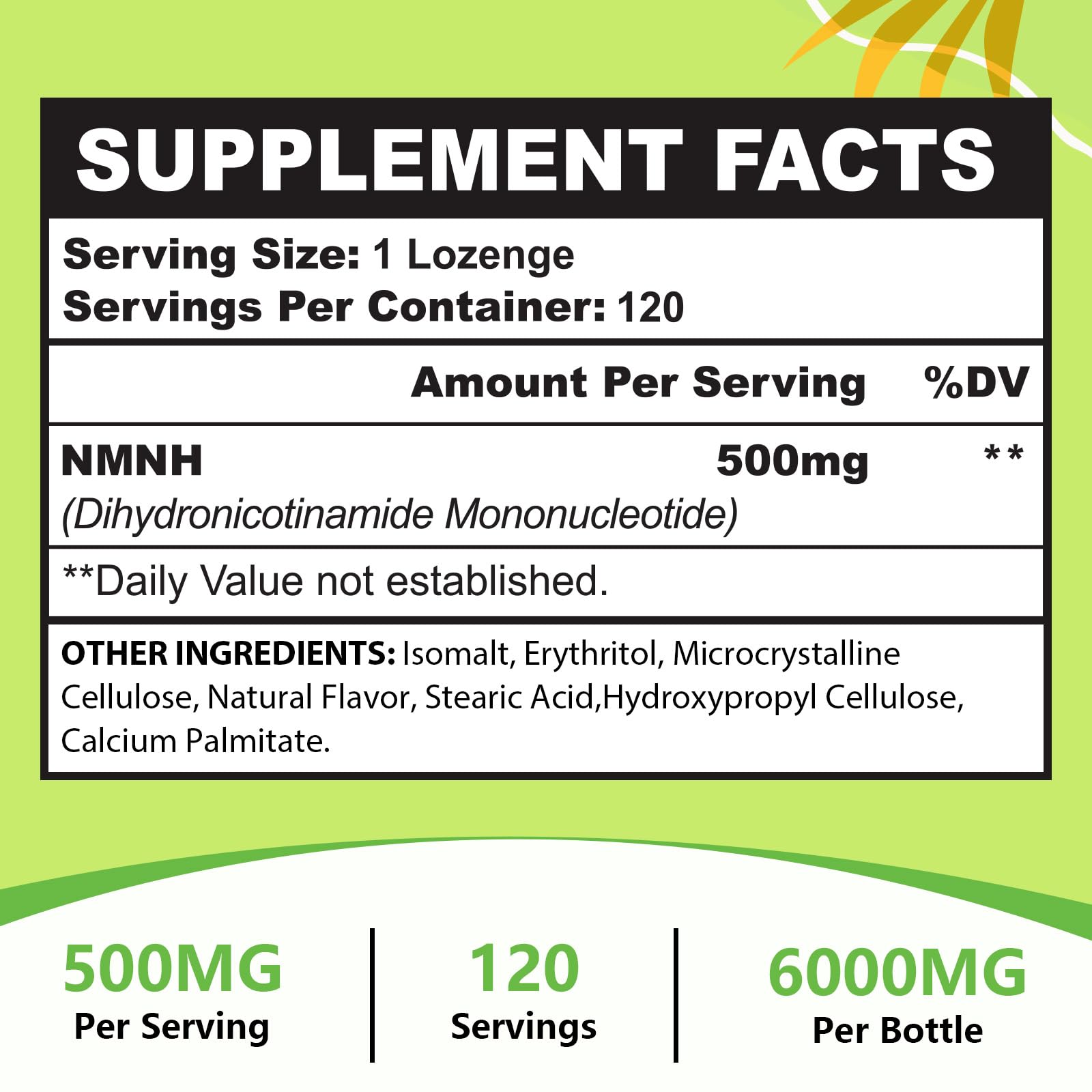 Routine matinale avec Ursinquil NMNH 500 mg pour énergie potentielle.