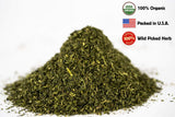 Tisane ortie infusions laiteuses – expérience douce et naturelle avec l’ortie sauvage.