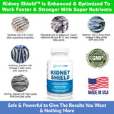 Utilisation quotidienne — Kidney Restore et Shield, facile à intégrer à la routine.
