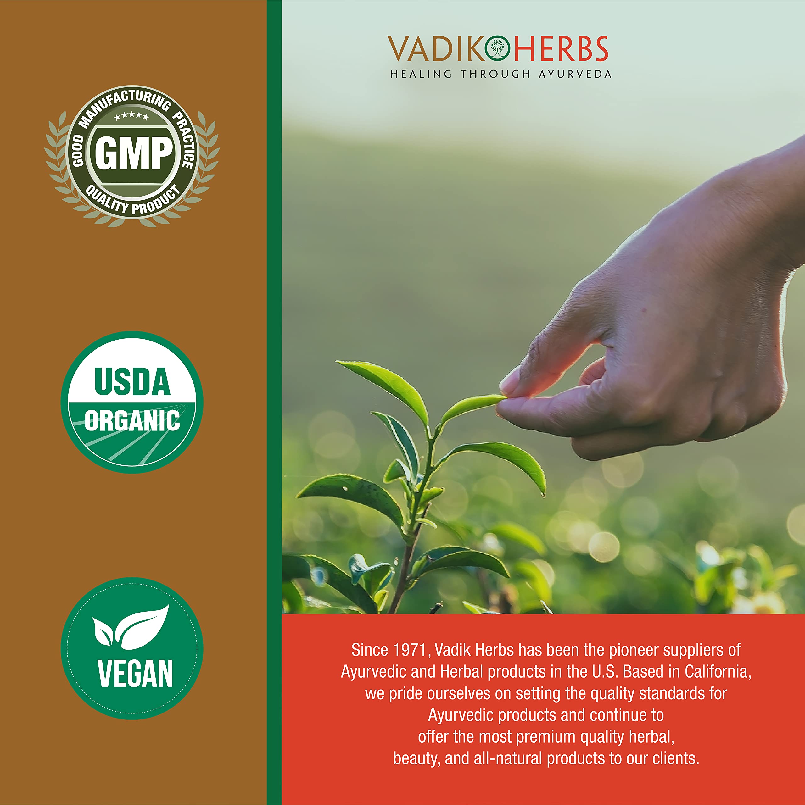 Vadik Herbs Manjistha – emballage certifié sans artifices.
