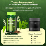 VCBIRD Nad+ Resveratrol: dosage quotidien et conseils d’utilisation