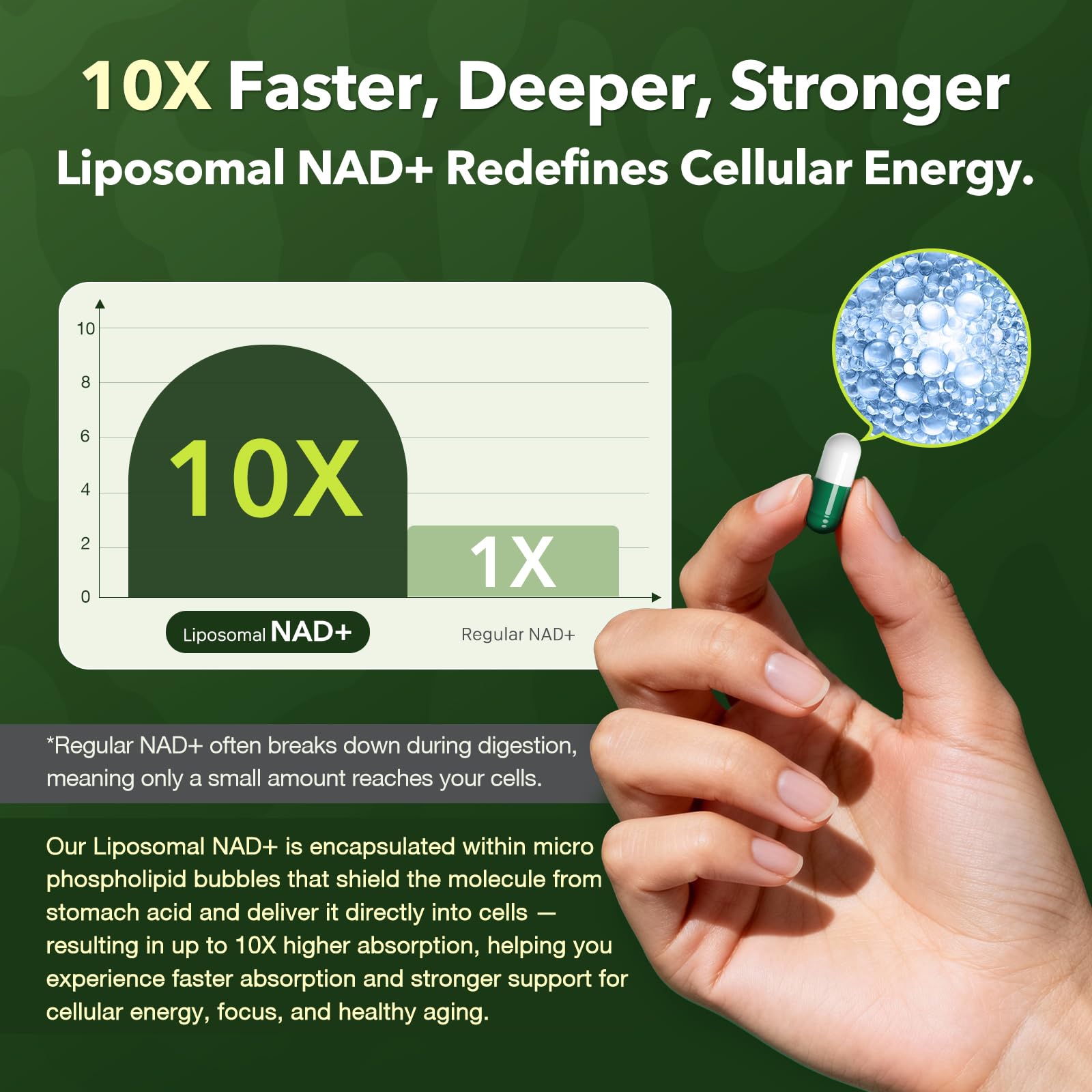 VCBIRD Nad+ Resveratrol: emballage boîte premium prête à l’achat