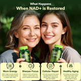 VCBIRD Nad+ Resveratrol: ingrédients Resveratrol et CoQ10 renforçant la vitalité