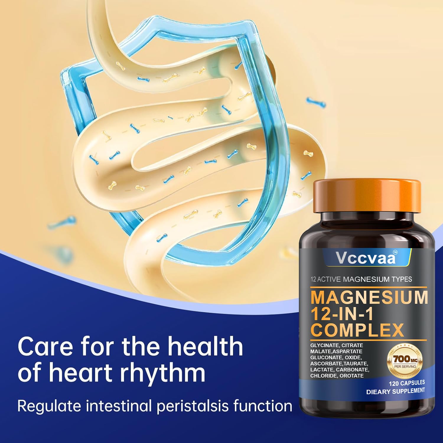 Vccvaa Magnesium Complex – visuel cœur et os suggérant soutien et mobilité