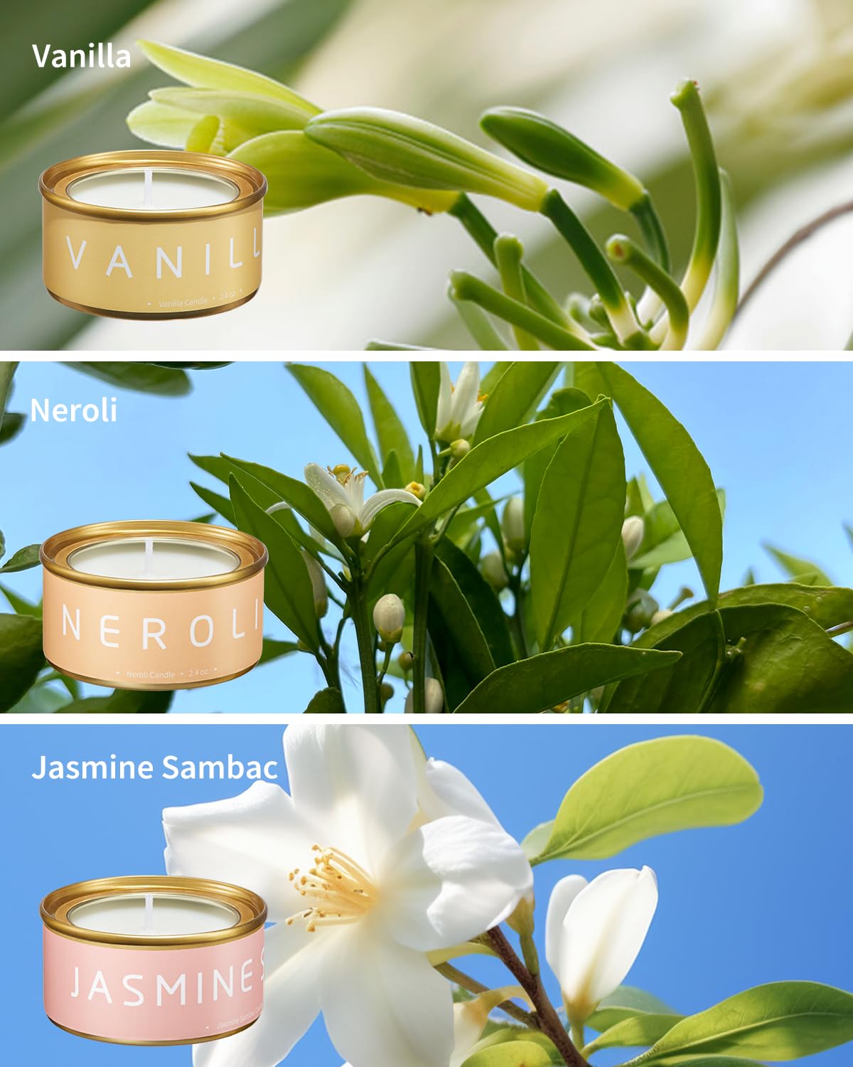 Bougies VEDA TINDA SCENT sauge sclarée, ambiance calme pour étude