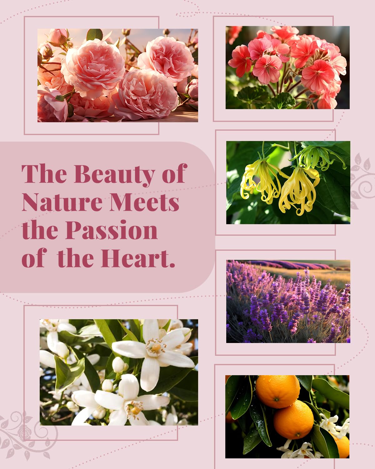 Coffret Romantique VEDA TINDA SCENT, idée cadeau élégante et parfum enveloppant.