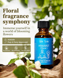Diffuseur sans eau compact et silencieux, VEDA TINDA SCENT pour salon.