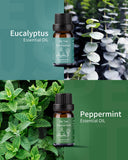 Huile essentielle romarin VEDA TINDA SCENT, arôme herbacé stimulant