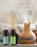 Kit huiles essentielles VEDA TINDA SCENT, ensemble pratique pour diffusion et DIY