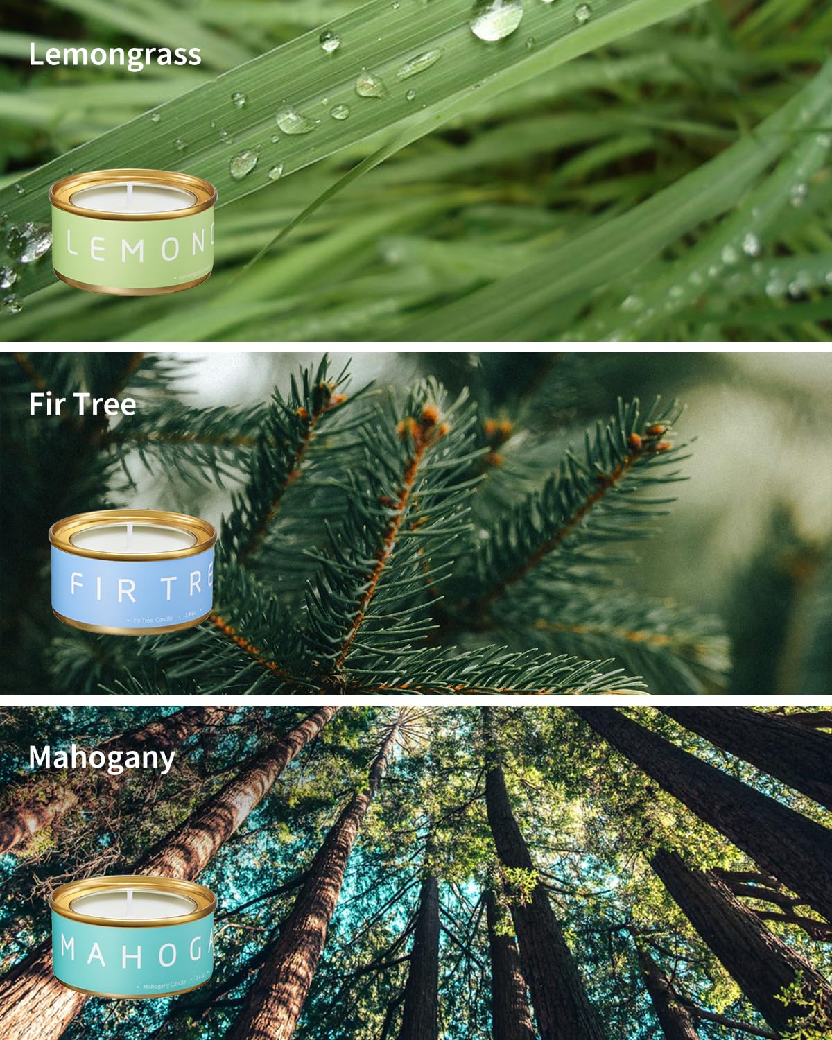 Parfum sapin et neige légère de Veda Tinda Scent, esprit hivernal rafraîchissant.