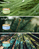 Parfum sapin et neige légère de Veda Tinda Scent, esprit hivernal rafraîchissant.