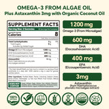 VEETAGYO Omega3: profil DHA EPA idéal pour concentration et mémoire