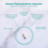 Vegan Life Nutrition Phytoplancton Marin — emballage clair, pratique pour le quotidien.