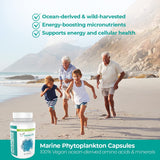 Vegan Life Nutrition Alpha 3 CMP — formule riche, soutien potentiel à la vitalité.