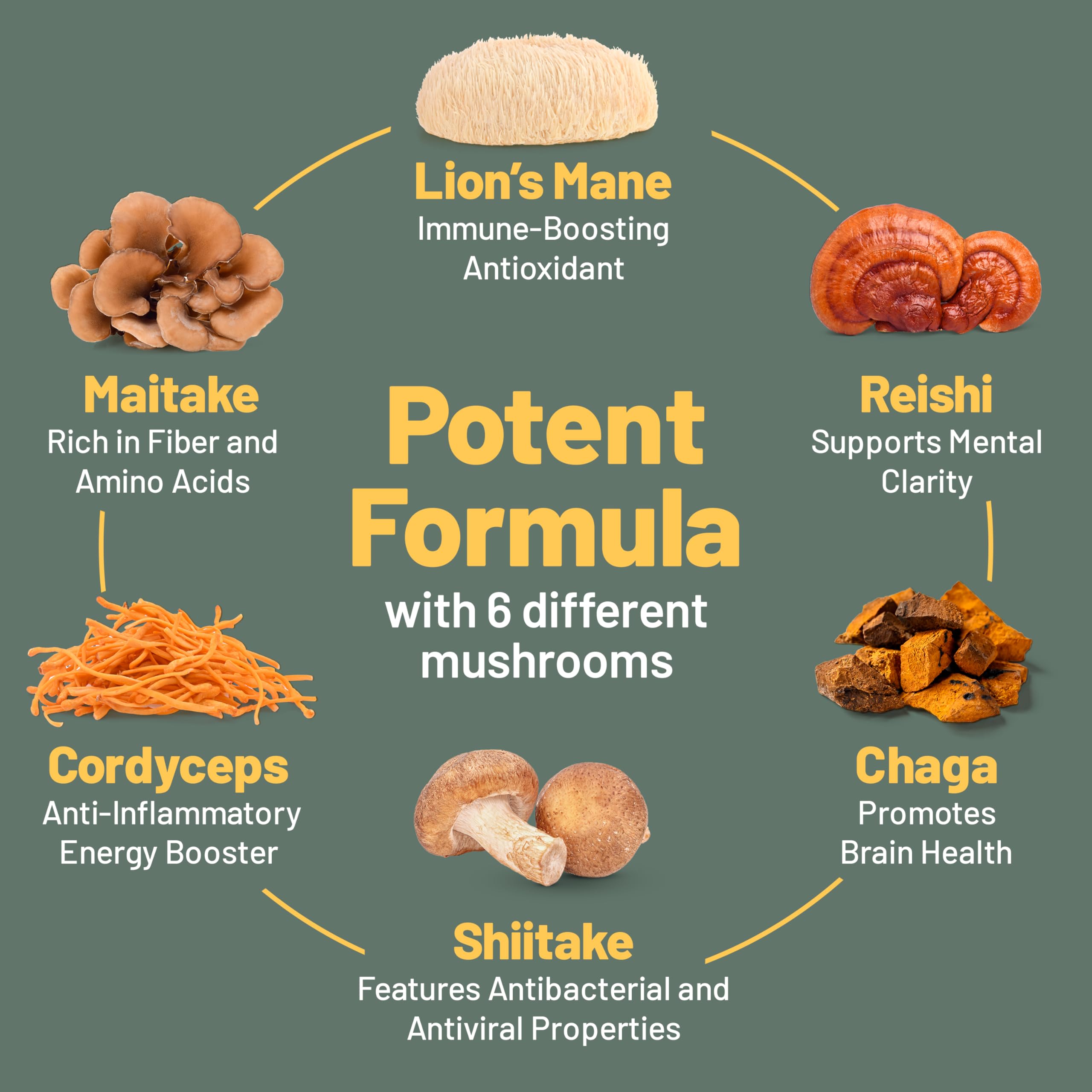 Vegan Vitality Multi Champignons – emballage recyclable et choix écologique.