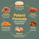 Vegan Vitality Multi Champignons – emballage recyclable et choix écologique.