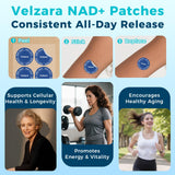 Velzara patchs NAD+ – libération progressive pour un soutien durable sans pilules.
