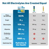 Venture Pal 7 électrolytes et 5 vitamines, soutien énergétique naturel