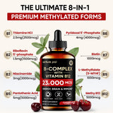 Venture Pal B19 folate liquide, soutien production cellule et immunité.