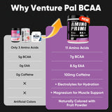 Venture Pal EAA+ dose calibrée pour récupération après effort