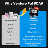 Venture Pal EAA+ poudre blanche prête à être mélangée pour l'effort.