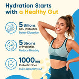 Venture Pal sachets sans sucre, hydratation légère et adaptée