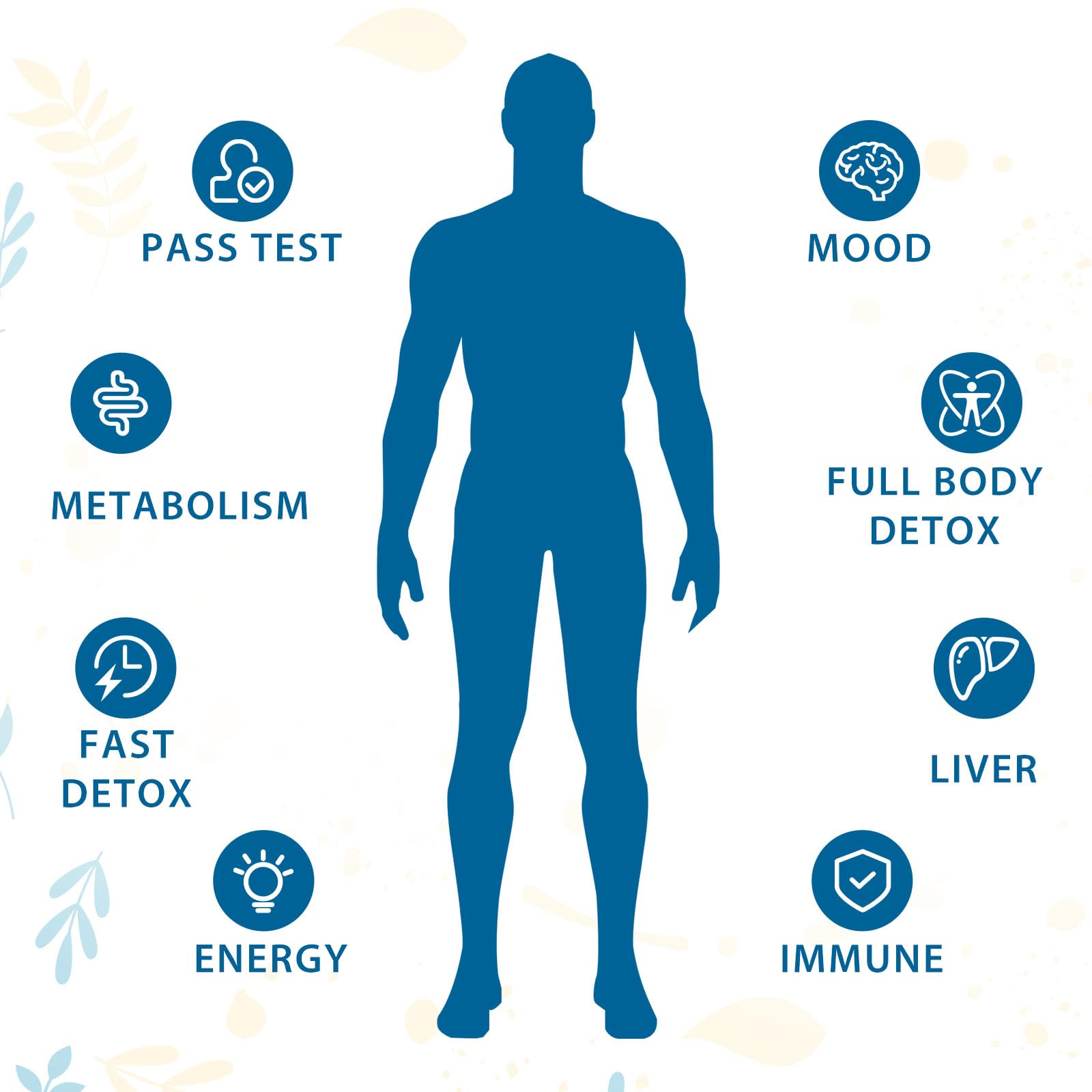 Verdanthus detox – capsules faciles à avaler et formulation naturelle.