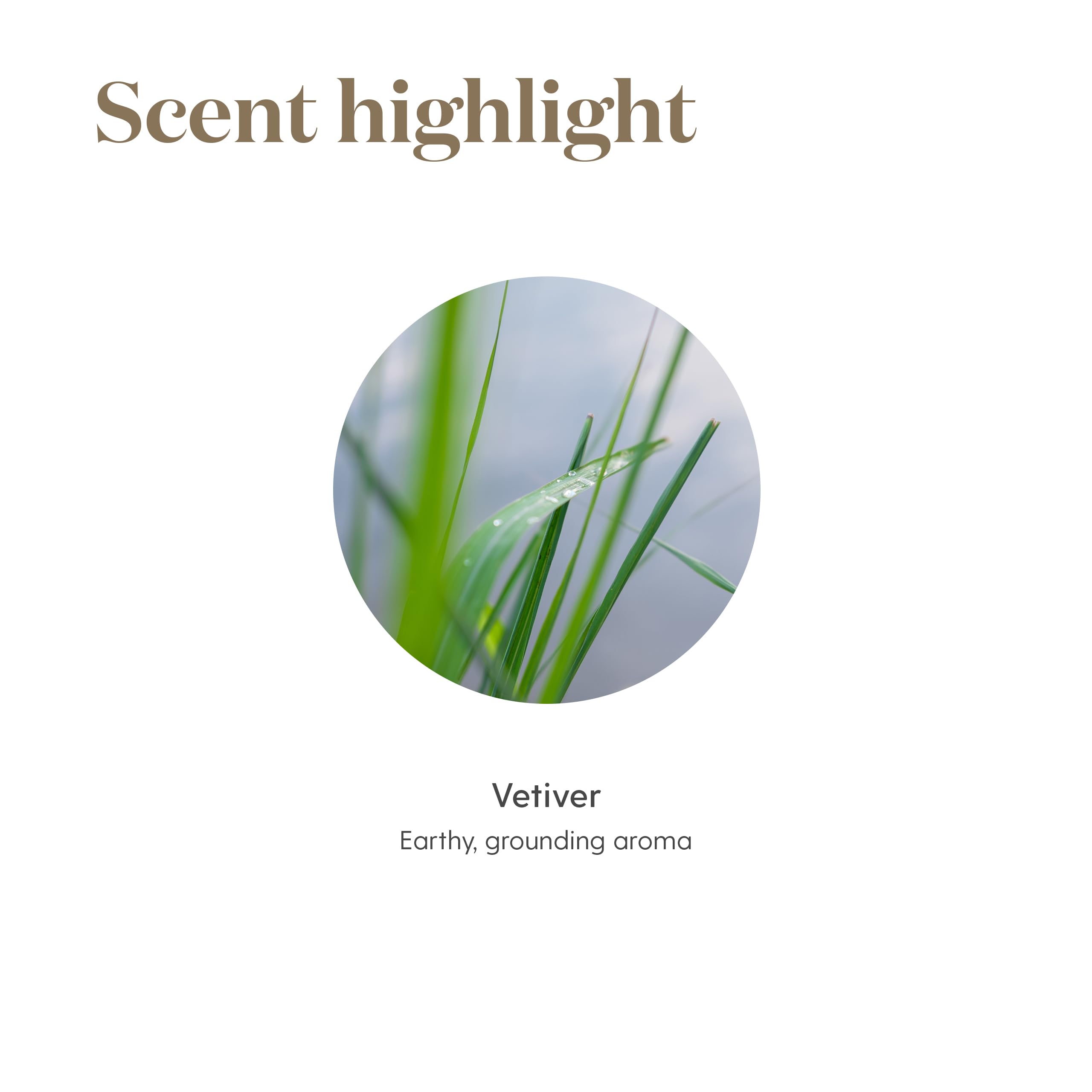 Vetiver viscosité terreuse – texture sensorielle riche et authentique.