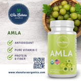 Ingrédients Via Natura Organics Amla, naturel et riche en fibres et minéraux