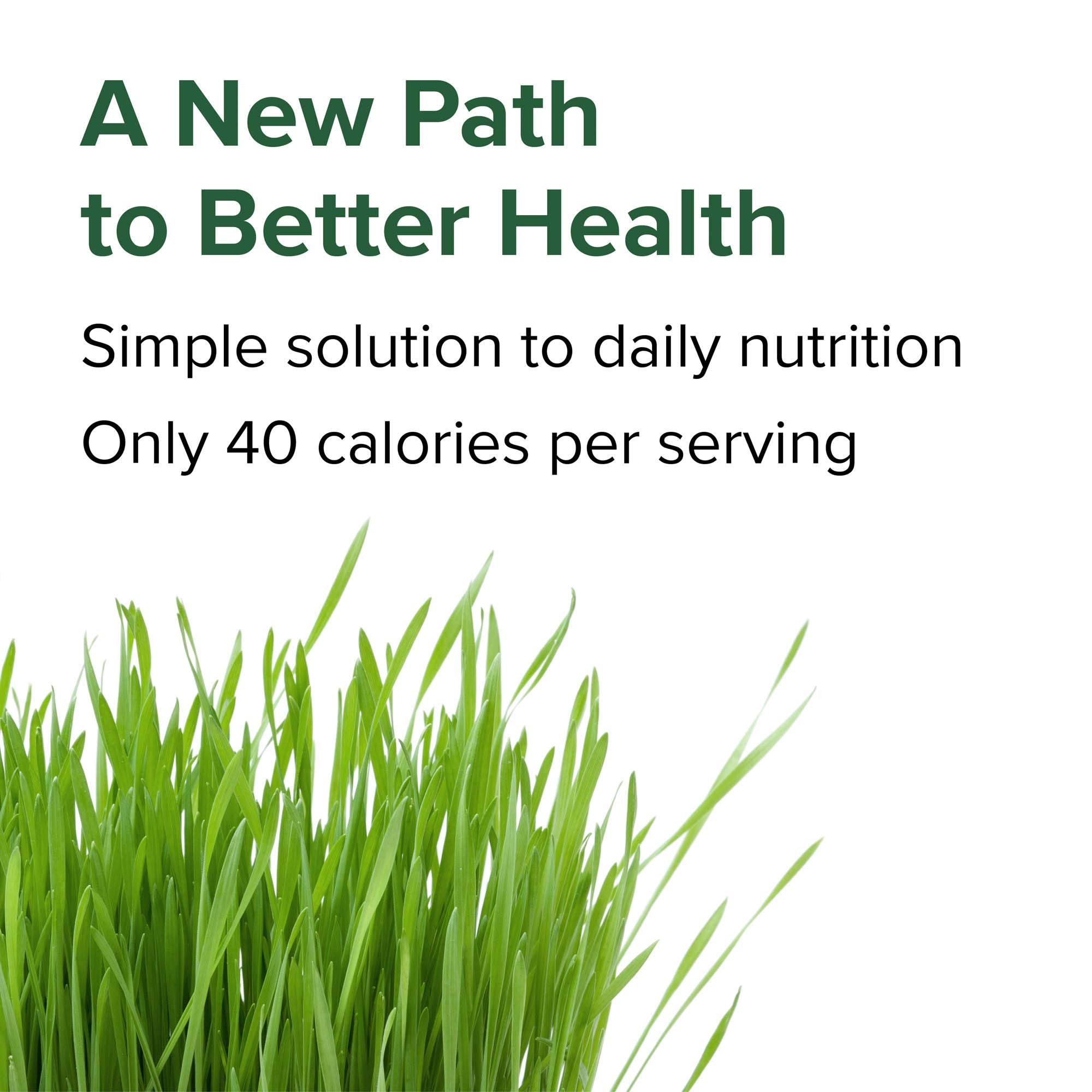 Vibrant Health Green Vibrance, packaging: transparence et qualité des ingrédients